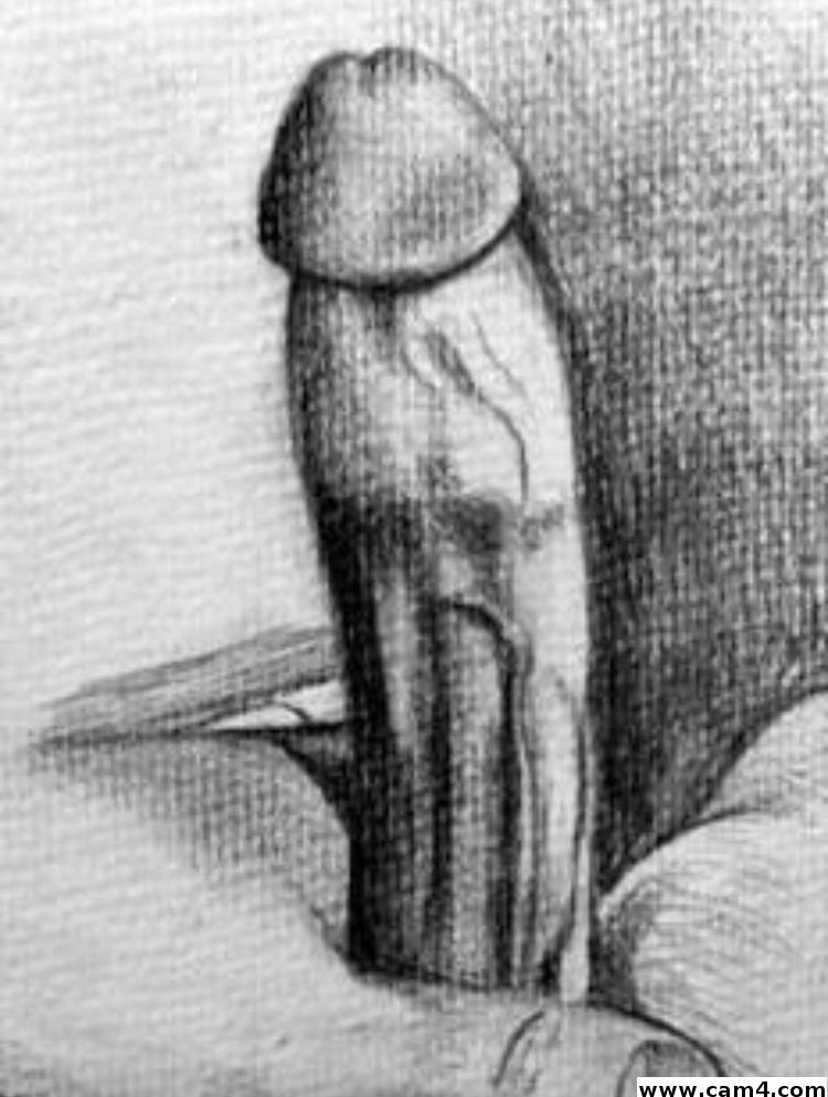 Donneurchaud Profile Image