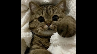 HUNNY_TT from Latvia