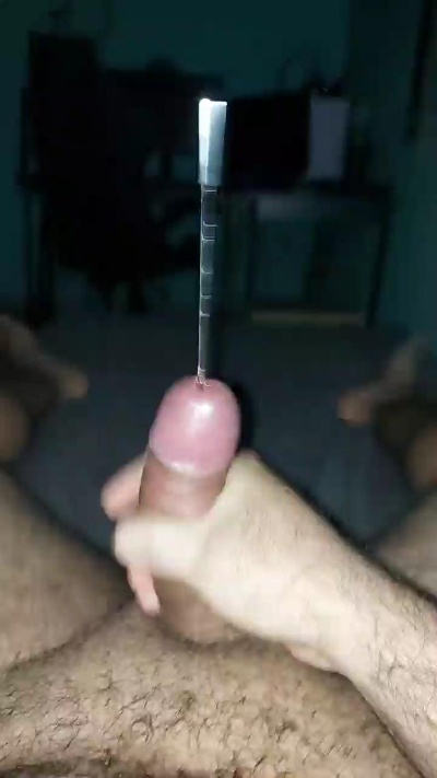 Littleguy32 from Brazil