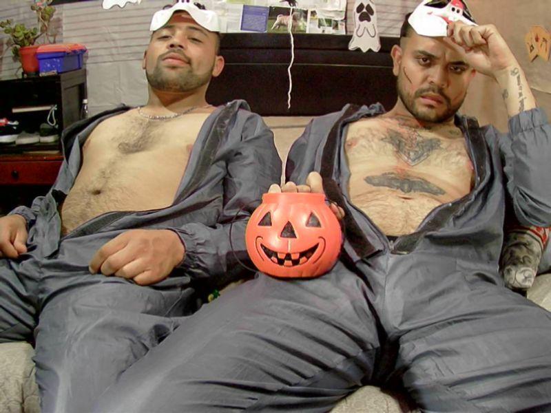 Pigboyscol from Colombia