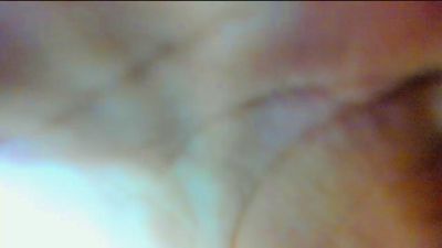 Sophia_Foz from United States