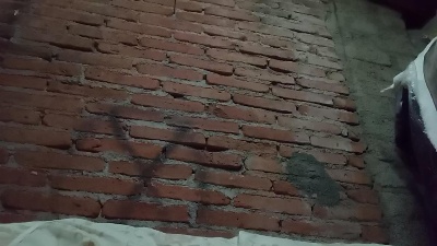 asisoyxxx from Mexico